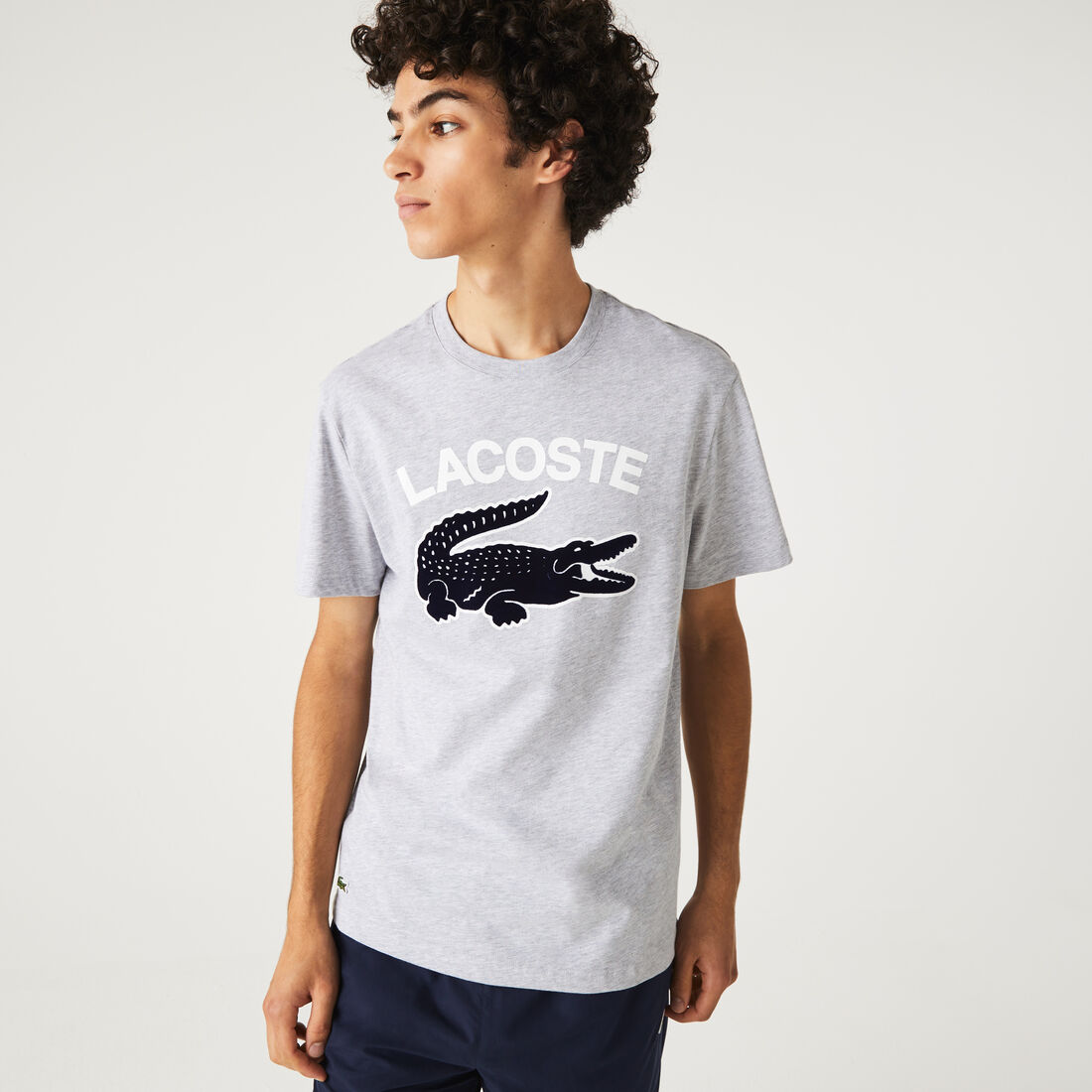 Lacoste Regular Fit Xl Crocodile Print T-shirts Herren Grau | MFKO-59017